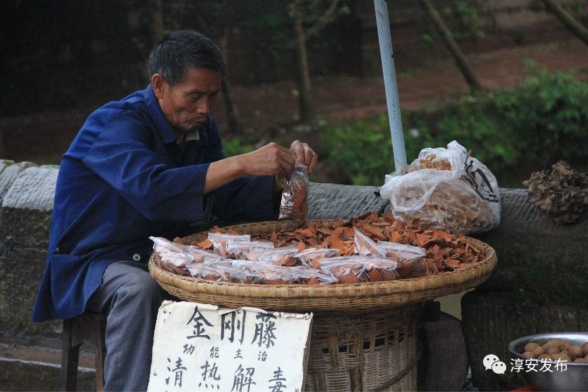 淳安刘寄奴种植致富_淳安刘寄奴种植致富_淳安刘寄奴种植致富