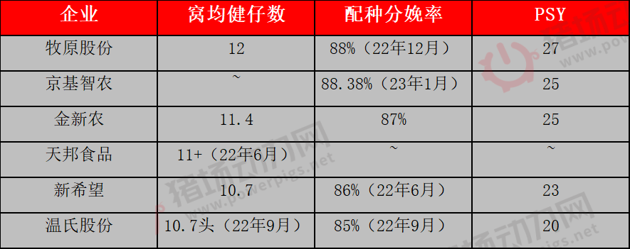 15家猪企养殖成绩PK！牧原成本最低，神农PSY最高，还有这些企业……