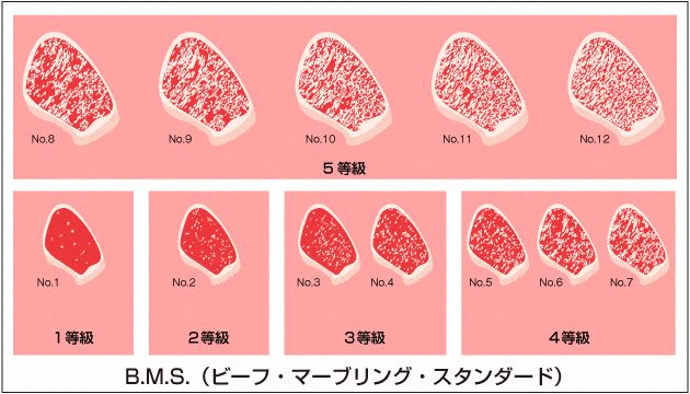 日本和牛养殖技术视频_日本肉牛养殖_日本养牛三年赚多少