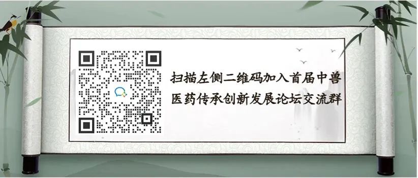 鸽子大型养殖技术 养殖业_专业养殖鸽子_养鸽子最新技术