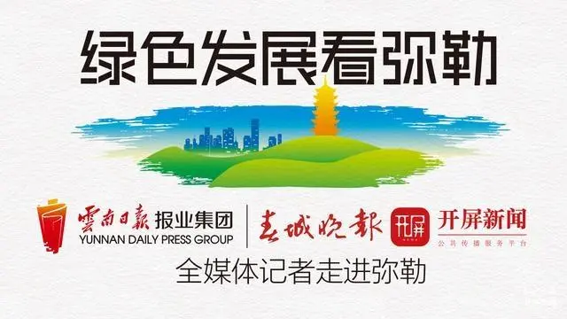 「绿色发展看弥勒」来围观！每天能产出10万+枝玫瑰基地什么样