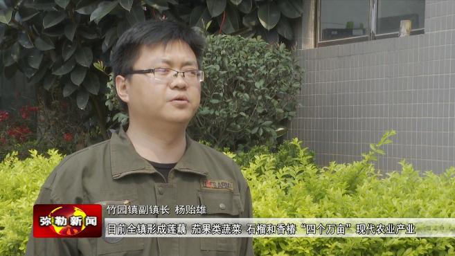 云南弥勒种植致富_弥勒适合种植什么_云南弥勒高原特色农业