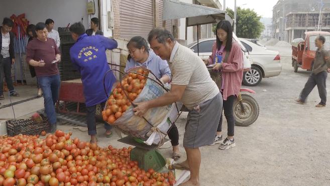 弥勒适合种植什么_云南弥勒高原特色农业_云南弥勒种植致富