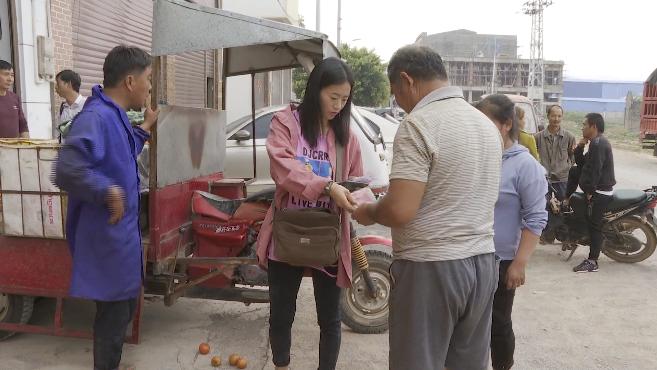 云南弥勒种植致富_云南弥勒高原特色农业_弥勒适合种植什么