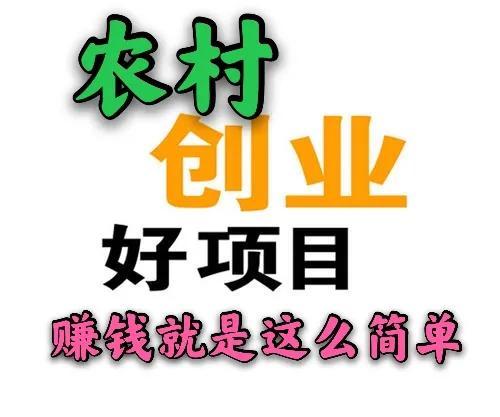 养蚂蚁致富_致富经蚂蚱养殖_致富经蚂蟥养殖技术