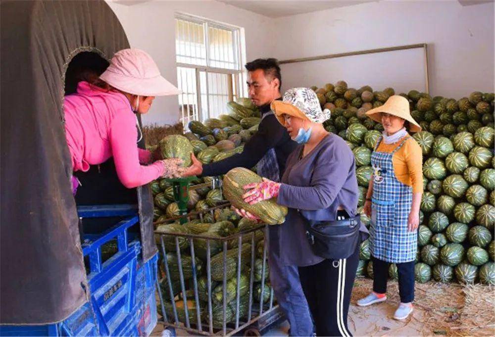 云南弥勒水果种植_云南弥勒种植致富_弥勒哪里有种植基地