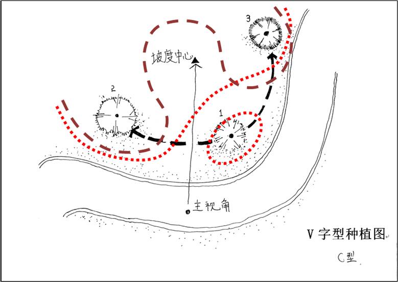 致富种植楝树视频_楝树怎么种植_楝树种植致富