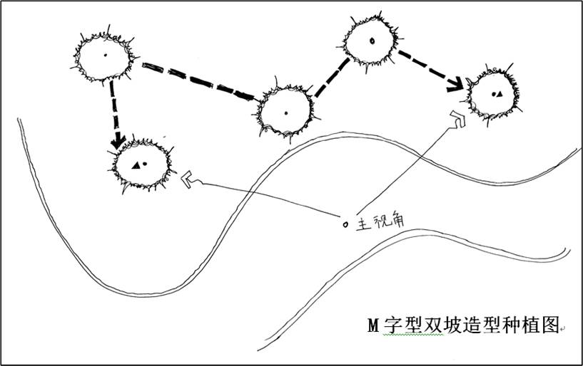 楝树怎么种植_楝树种植致富_致富种植楝树视频