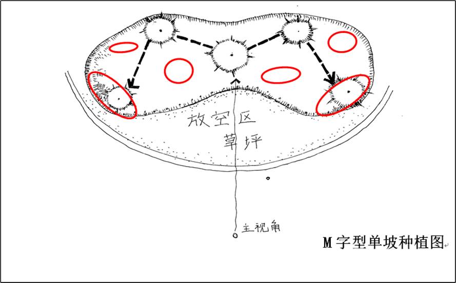 致富种植楝树视频_楝树种植致富_楝树怎么种植