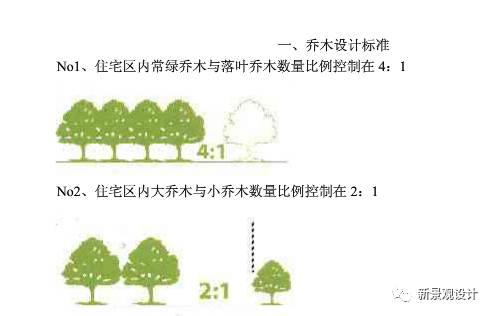 致富种植楝树视频_楝树种植致富_楝树怎么种植