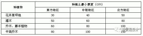 致富种植楝树视频_楝树种植致富_楝树怎么种植