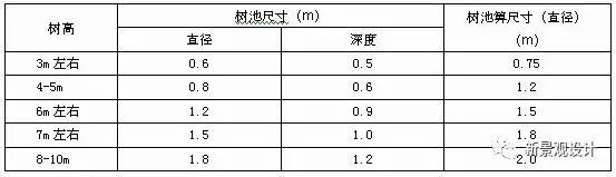 楝树种植致富_楝树怎么种植_致富种植楝树视频