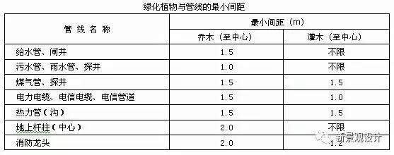 楝树怎么种植_楝树种植致富_致富种植楝树视频