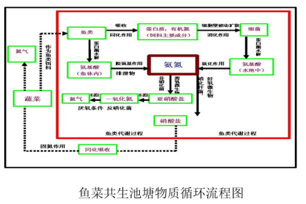 最新农业种植技术_最新农业种植科技_种植农业最新技术要求