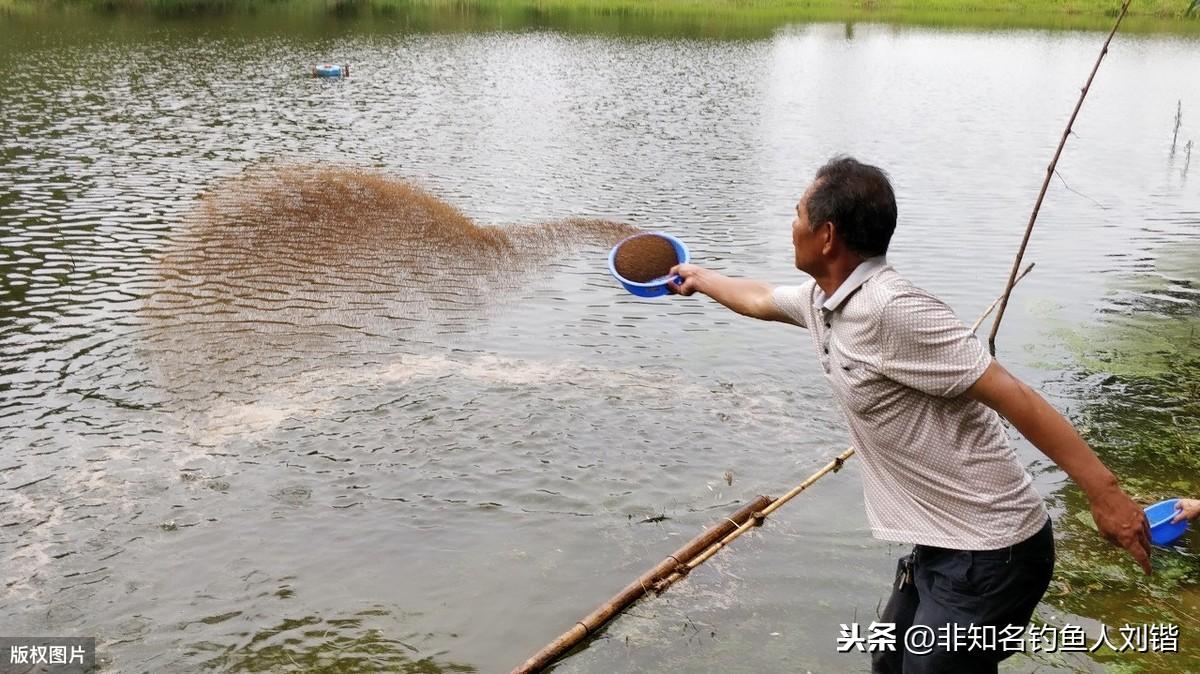 致富经种植养殖全部视频_致富养殖网_颗粒养殖致富