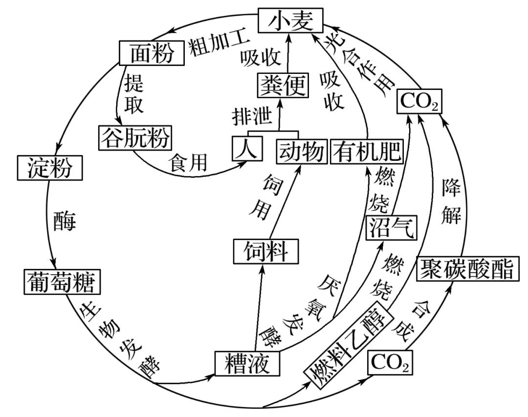 2022届高三一轮专题复习训练60：循环经济专题训练！