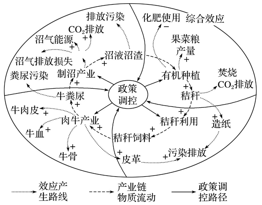 龙虾藕养殖泥鳅技术视频_藕池套养泥鳅小龙虾_藕泥鳅龙虾养殖技术