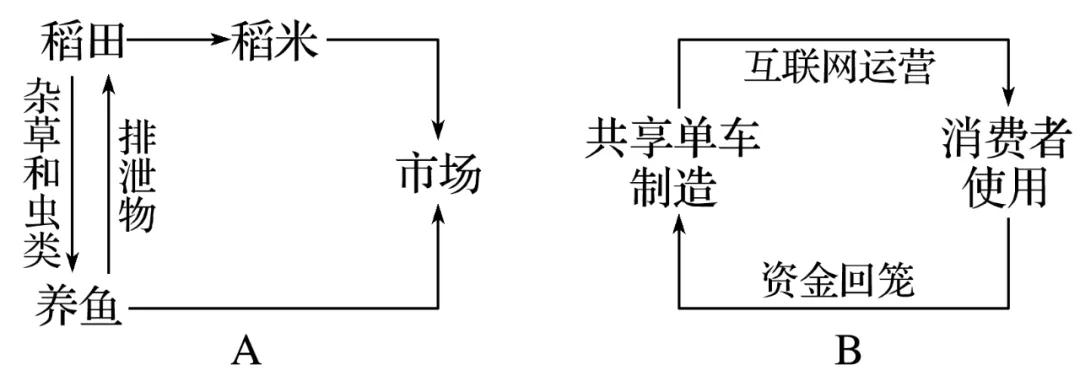 藕泥鳅龙虾养殖技术_藕池套养泥鳅小龙虾_龙虾藕养殖泥鳅技术视频