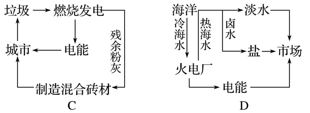 藕泥鳅龙虾养殖技术_藕池套养泥鳅小龙虾_龙虾藕养殖泥鳅技术视频