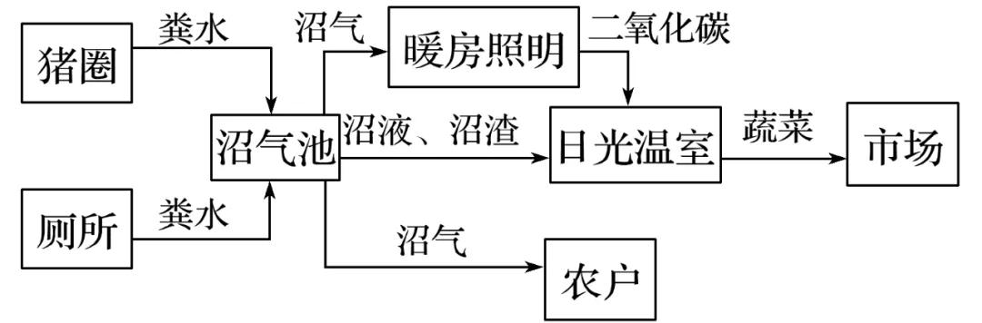 藕池套养泥鳅小龙虾_龙虾藕养殖泥鳅技术视频_藕泥鳅龙虾养殖技术