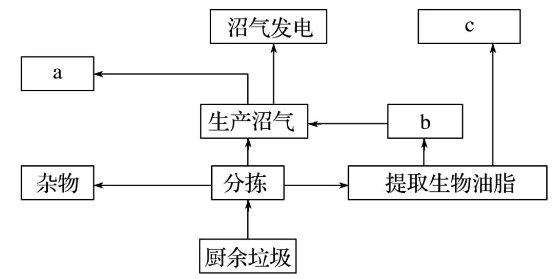 龙虾藕养殖泥鳅技术视频_藕泥鳅龙虾养殖技术_藕池套养泥鳅小龙虾