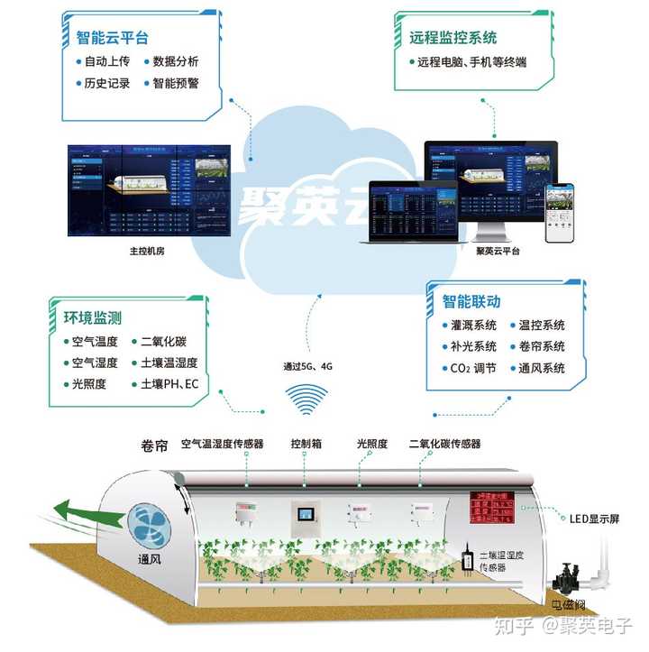 室内大棚种植技术_大棚种植基本知识_大棚室内种植技术要求