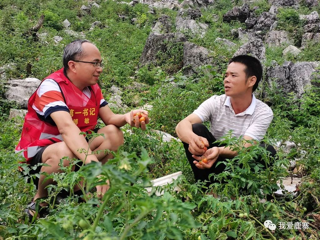 致富南瓜种植大户名单_种植大南瓜致富_南瓜种植大户