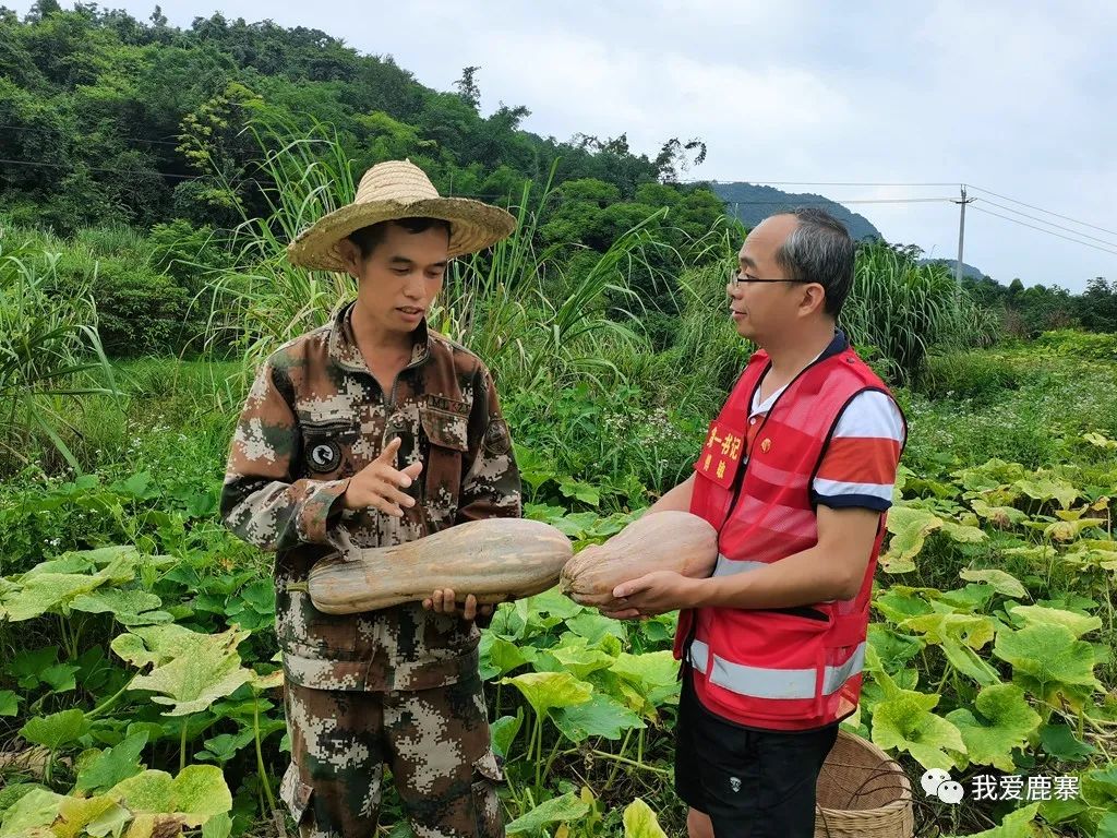 种植大南瓜致富_致富南瓜种植大户名单_南瓜种植大户