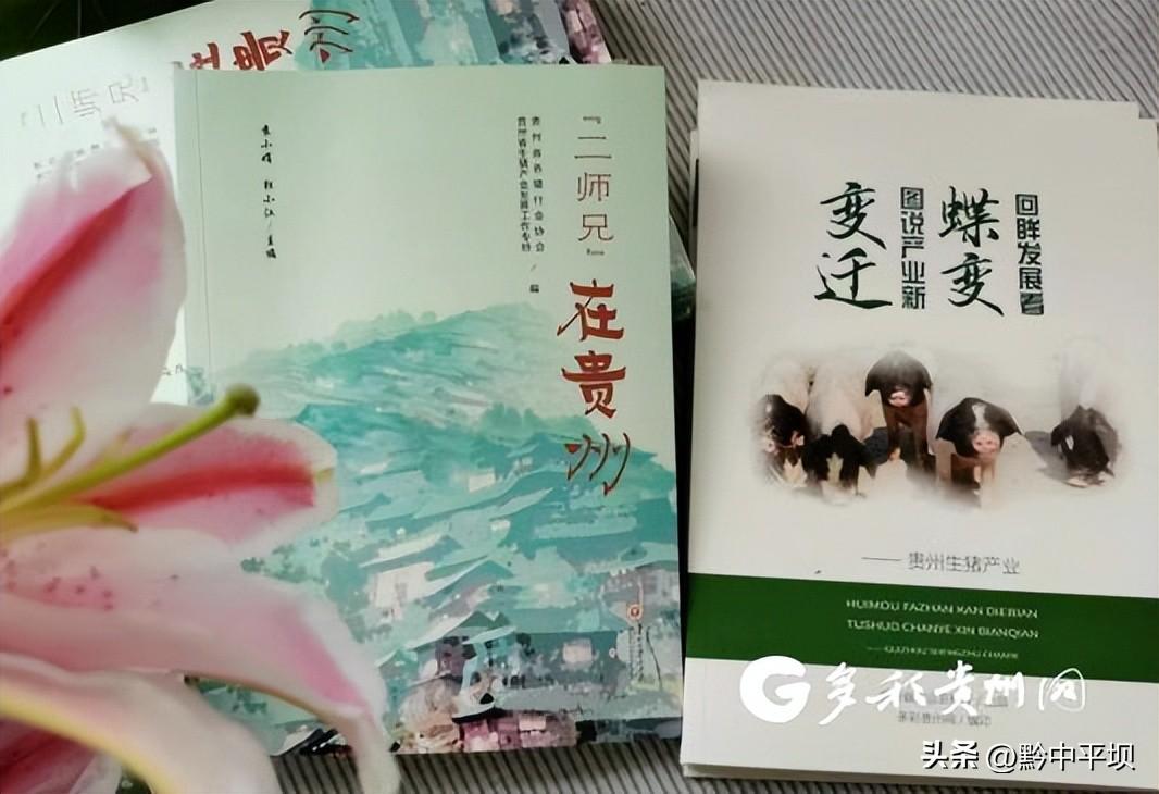 “二师兄”在贵州④|贵州“土帅土帅”小鲜肉成团