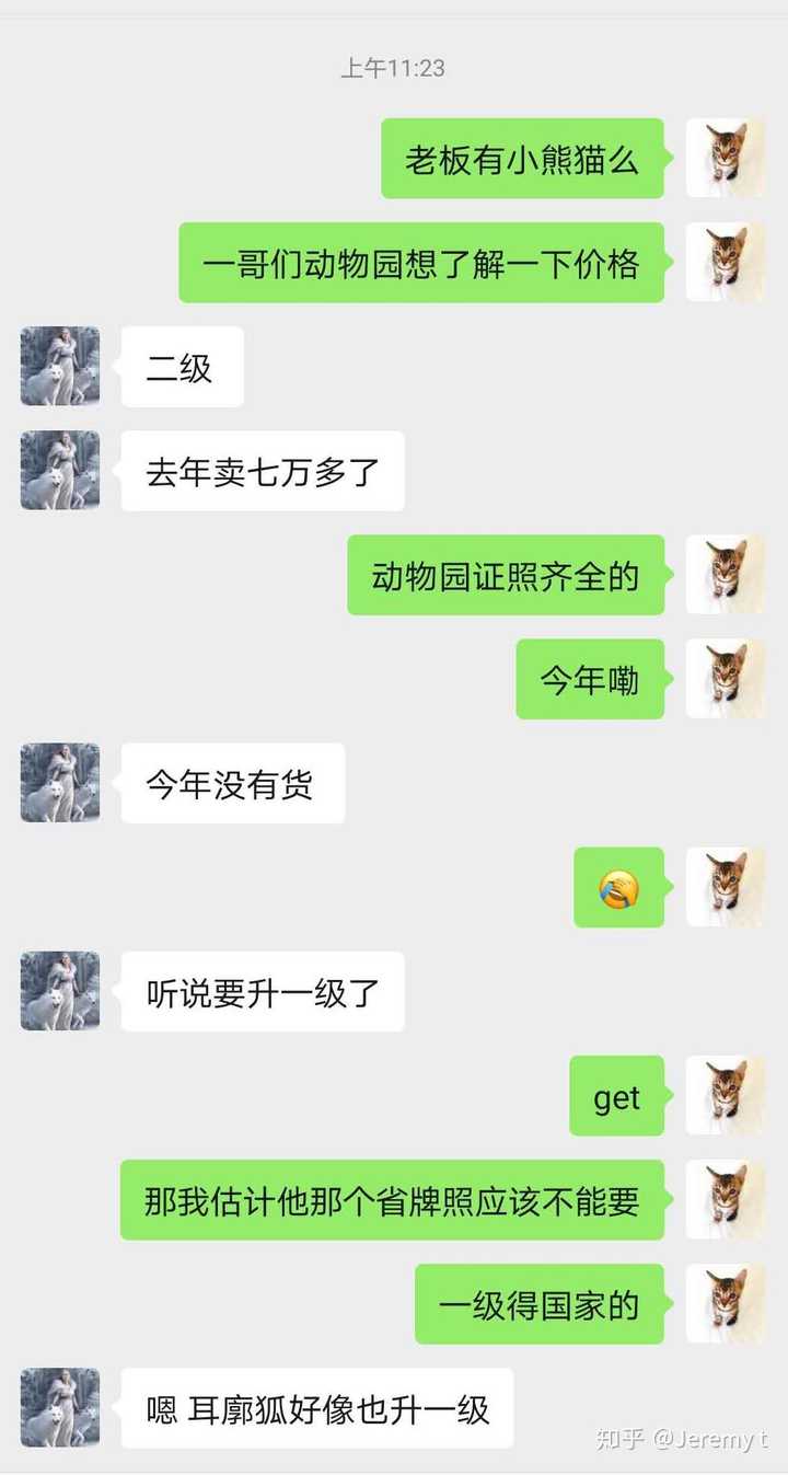 中国境内可以养小熊猫吗，如果可以，需要办哪些手续？