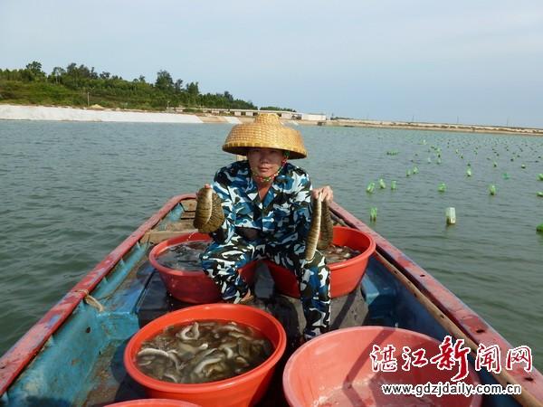 海参养殖工_致富经海参殖视频_海参养殖业