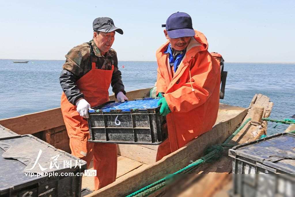 致富经海参殖视频_致富经海参养殖视频_海参养殖工