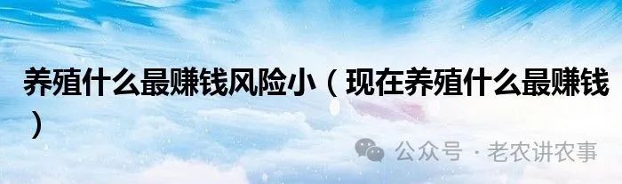 农村万元小成本养殖创业项目推荐，收益稳风险小，致富好商机！