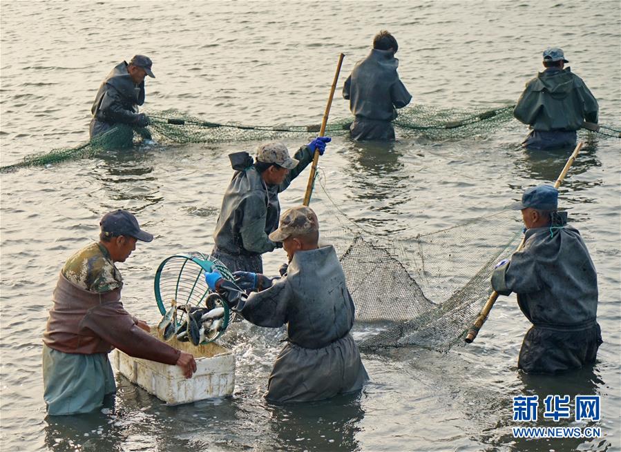 海参养殖业_致富经海参殖视频_致富经海参养殖视频