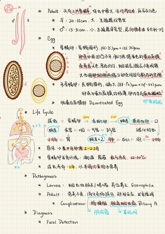 优质护理经验交流会会议记录_优质护理经验交流ppt_优质护理经验交流会ppt