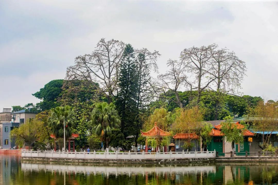 种植稔子致富_稔子栽培技术_稔子种植前景