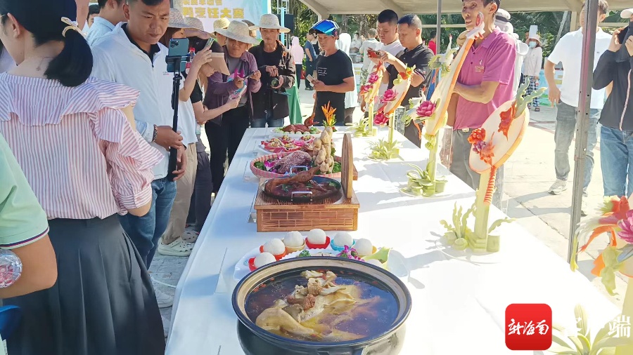 海南鸭子养殖合作社_海南鸭子养殖技术_海南海鸭养殖基地