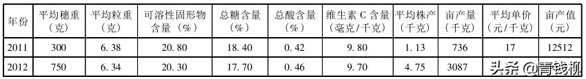 克伦生在西昌很著名亩产值在5万元以上是怎样种植的？