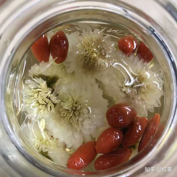 中央七致富经之枸杞_致富经枸杞种植视频_中央农业频道致富鱼