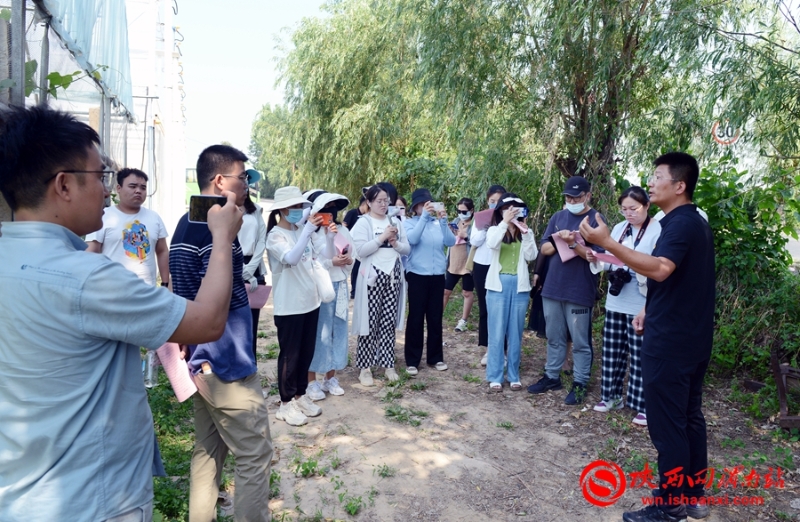 奋进新征程 建功新时代｜合阳县新池镇：红提葡萄成为村民增收致富的“金钱串”（组图）