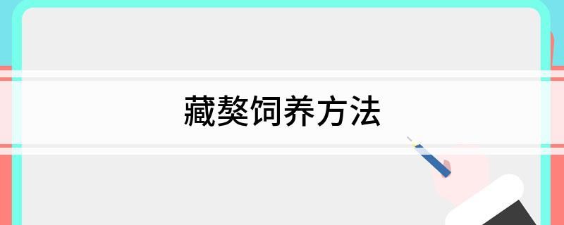 养殖藏獒赚钱吗_致富养殖藏獒基地在哪_致富经藏獒养殖