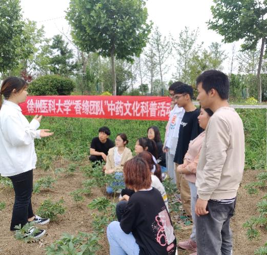 种植药材的视频_视频中草药种植技术_种植中药材技术大全