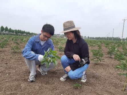 种植药材的视频_种植中药材技术大全_视频中草药种植技术