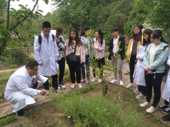 视频中草药种植技术_种植药材的视频_种植中药材技术大全