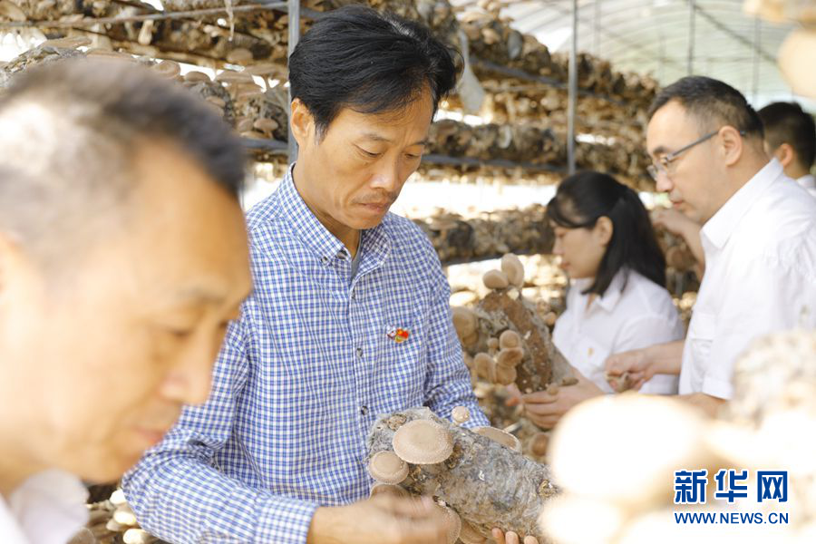 种植水稻赚钱吗_致富经种植水稻视频_种植水稻致富项目