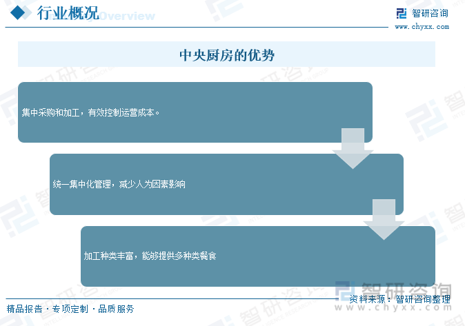 枸杞黑枸杞_致富经枸杞种植视频_中央七致富经之枸杞