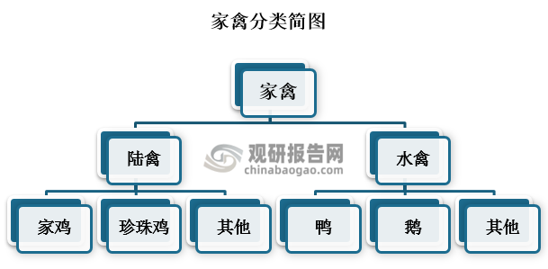 家禽养殖技术资讯_家禽养殖小知识_家禽养殖技术大全