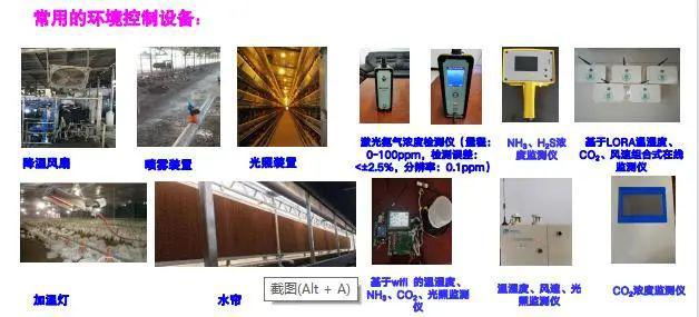 家禽养殖技术资讯_家禽养殖技术大全_养殖资讯家禽技术研究