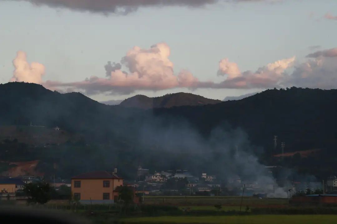 致富经牛油果种植_致富种植果牛油果好吗_致富种植果牛油果图片