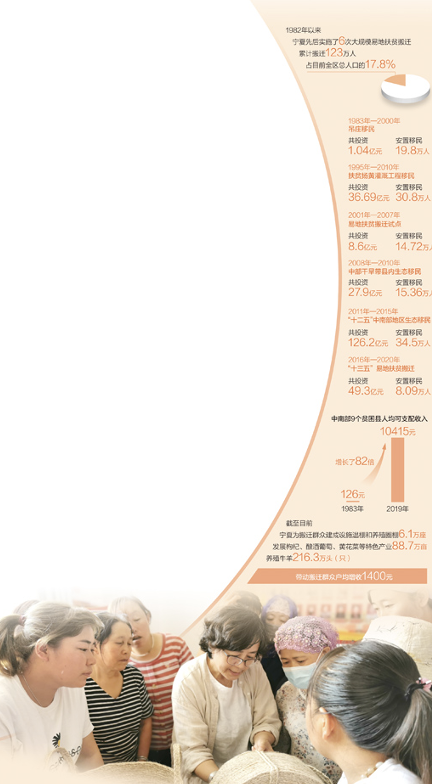 养鸽致富经杨明军_致富鸽业_杨明军养鸽子